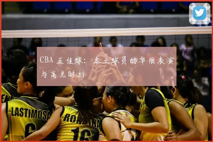 CBA 五佳球：本土球员的华丽表演与高光时刻