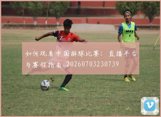 如何观看中国排球比赛：直播平台与赛程指南_20260703230739